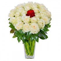My only one 35 roses